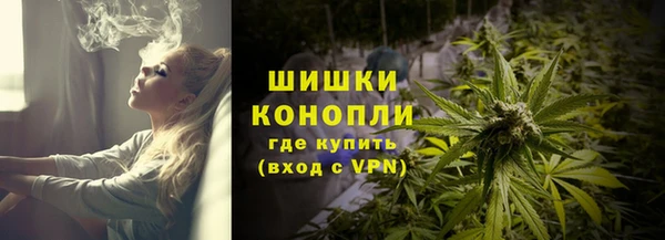 крисы Богородск