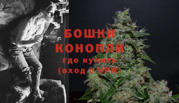 дурь Белокуриха