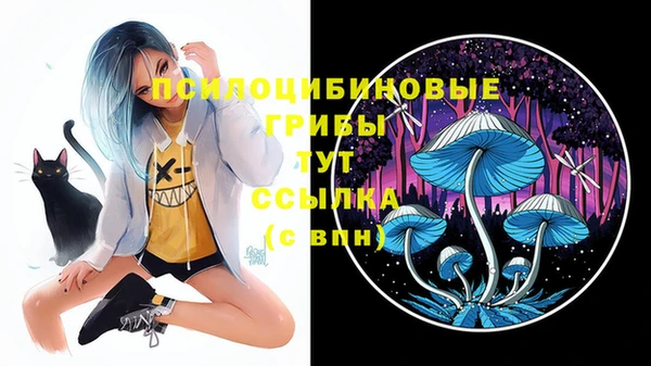 PSILOCYBIN Богородицк