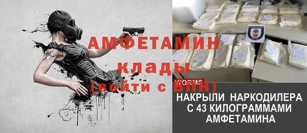 крисы Богородск